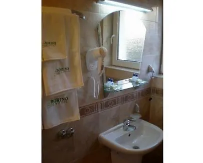 Spa Hotel Borino Hotel *