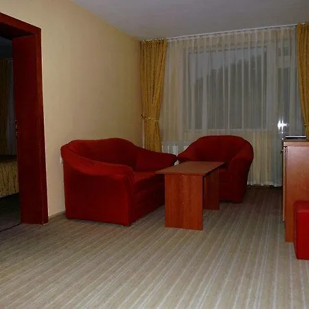 Hotel Spa Hotel Borino *