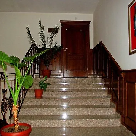 Hotel Spa Hotel Borino *